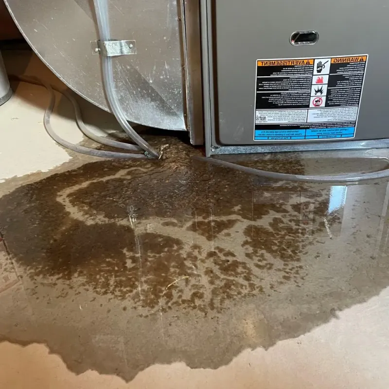 Pipe Burst and Leak Restoration in Sarpy County, NE